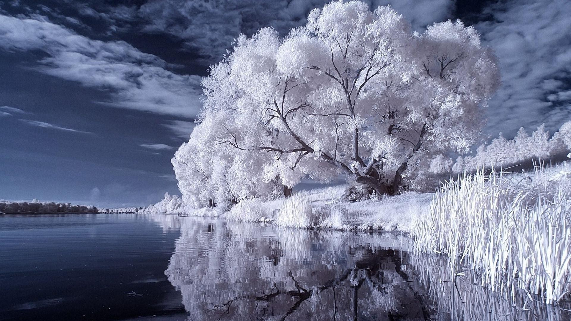 winter landscape nature snow frost water cold frozen tree weather ice scenic season wood outdoors scenery sky