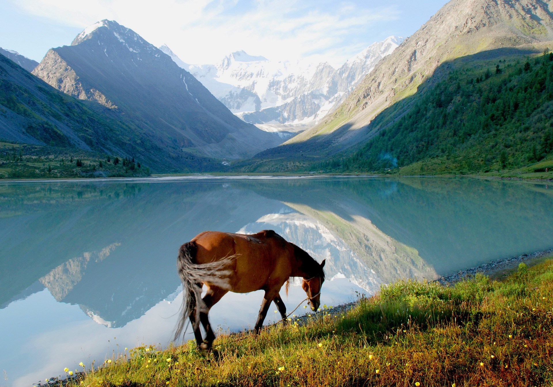 horses mountain nature landscape outdoors travel water lake valley grass scenic sky snow summer wood rock hayfield fall