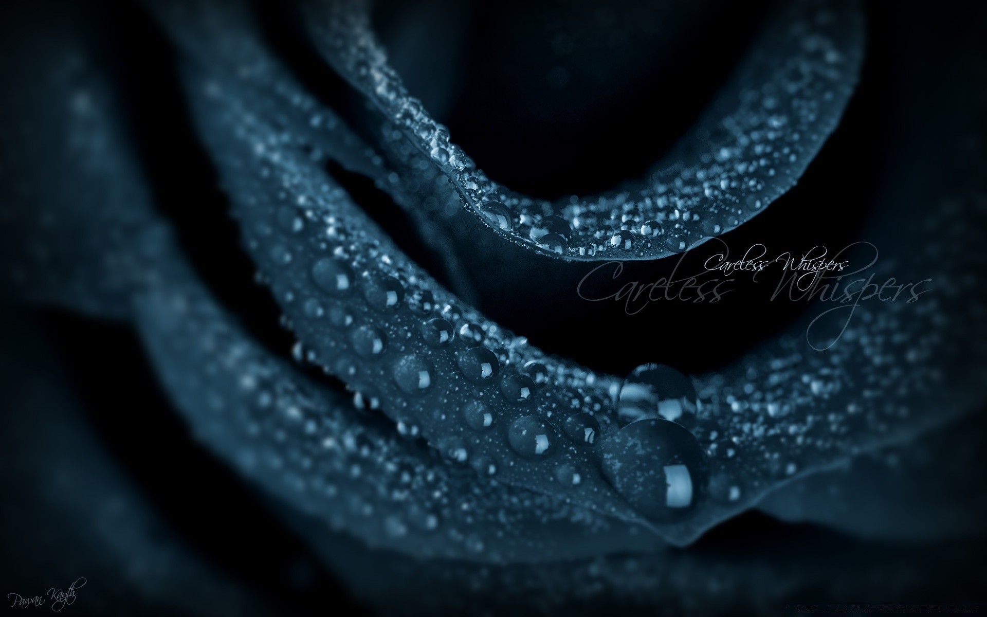 macro water wet rain drop dew abstract dark nature shining blur texture desktop turquoise