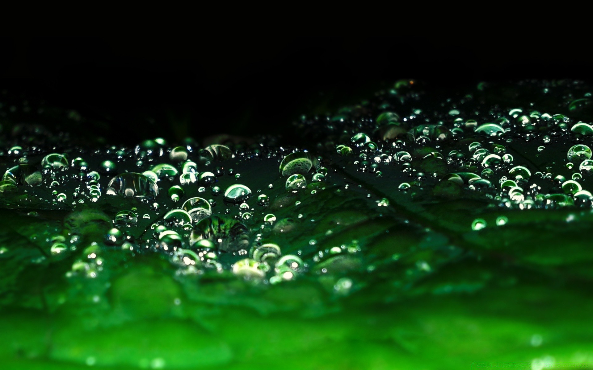 macro drop rain water wet bubble droplet clear dew reflection splash light clean liquid purity turquoise abstract desktop drink shining nature