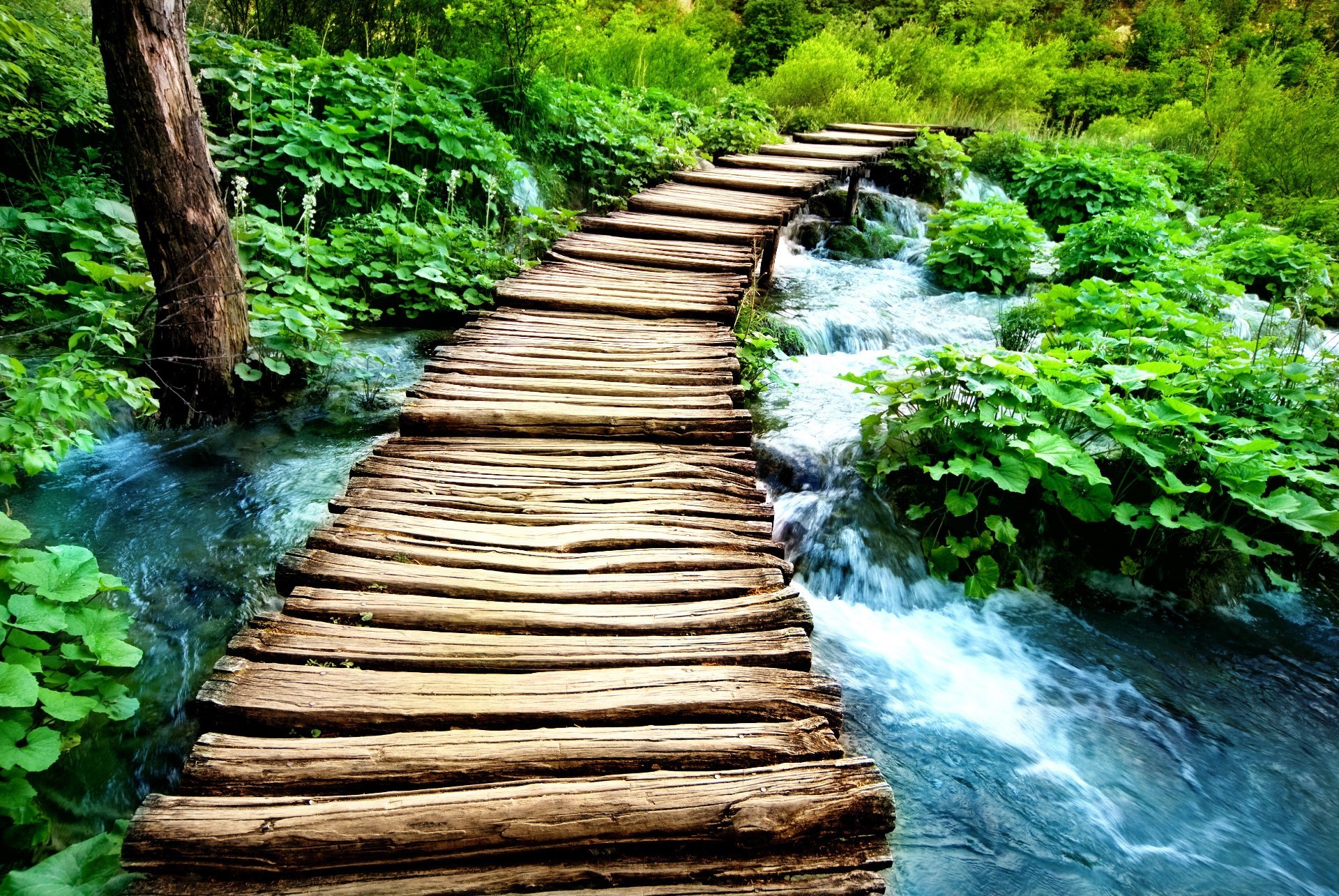 flüsse teiche und bäche teiche und bäche holz wasser natur wasserfall fluss holz im freien blatt landschaft sommer fluss reisen rock tropisch landschaftlich schön park umwelt stein