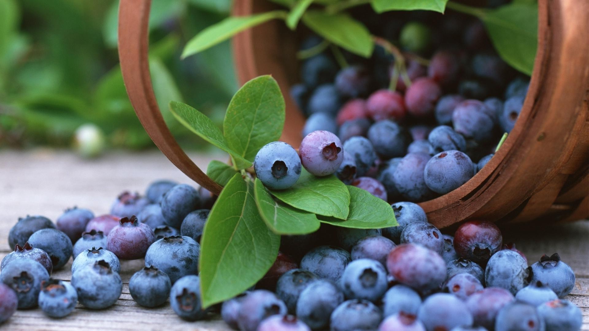 bayas fruta baya comida arándano pasto jugoso crecer arándano hoja verano naturaleza racimo jugo saludable grupo otoño salud nutrición cosecha