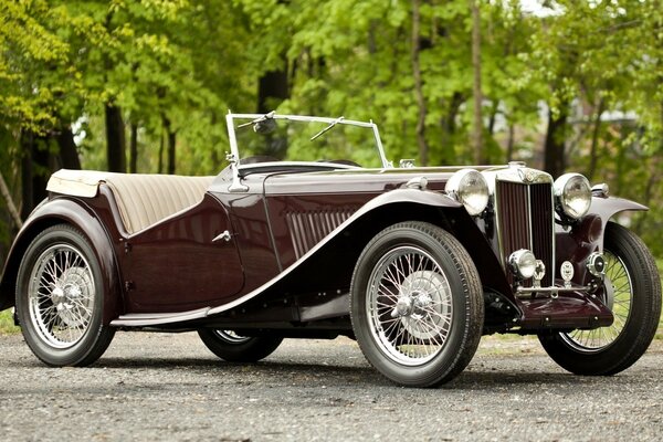 Classic retro brown convertible