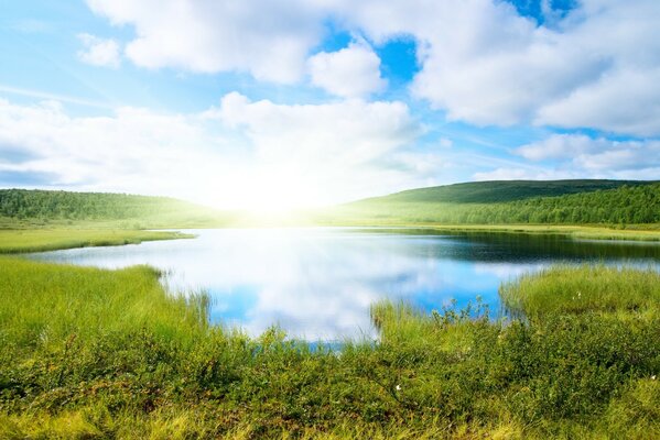 Um lago natural em um lindo amanhecer