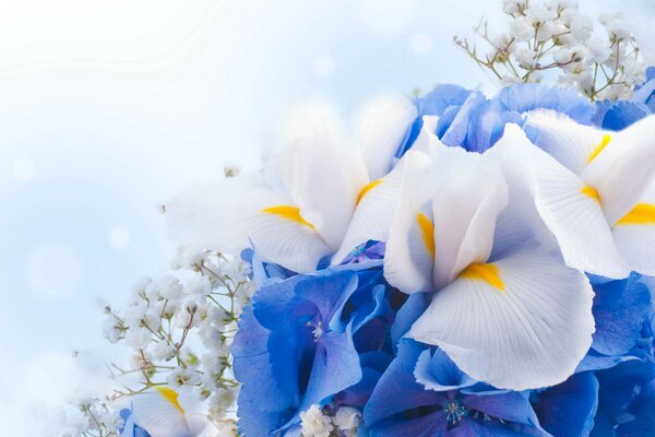 Primavera hermosas flores contra el cielo