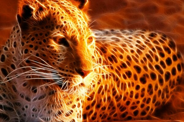 Cheetah is a wildlife animal