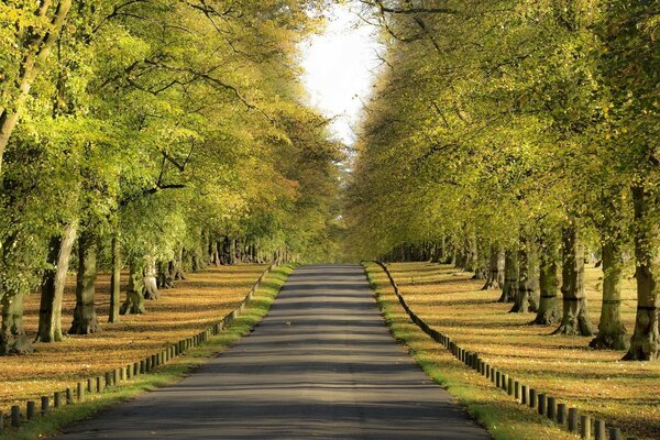 Orada kalmak için avlanmanın olduğu hayata giden yol