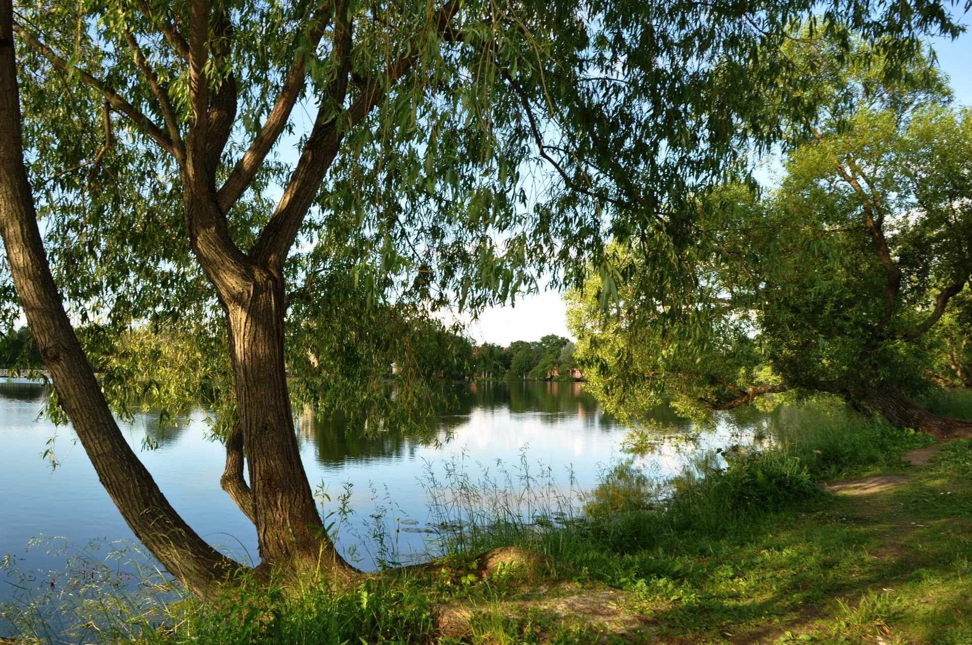 jezioro drzewo natura krajobraz drewno park liść trawa woda środowisko na zewnątrz lato dobra pogoda flora malownicze niebo rzeka bujny sezon