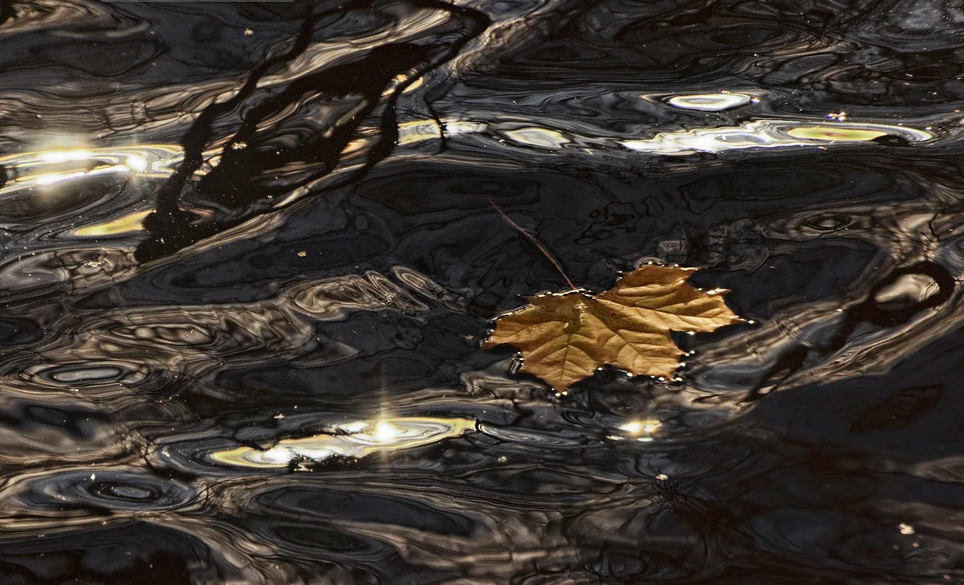 fiumi stagni e torrenti stagni e torrenti riflessione acqua paesaggio ambiente lago disastro fiume astratto desktop struttura piscina