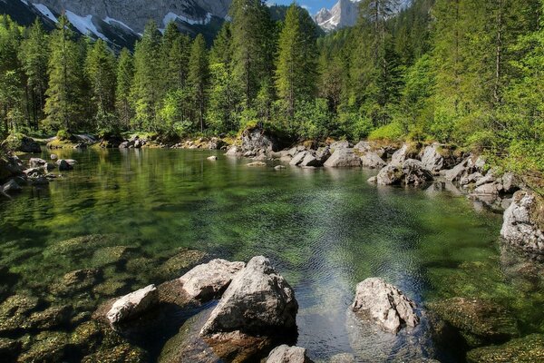 Foto de un estanque transparente entre las piedras en el fondo de un bosque alto de coníferas y montañas