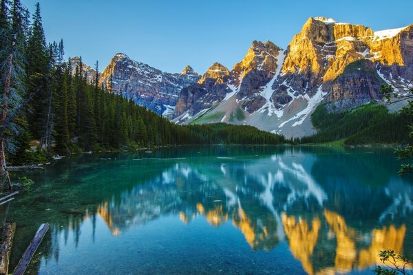 Lac dans les montagnes entouré de forêt