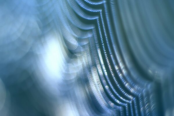 Macro photography of a web in water droplets