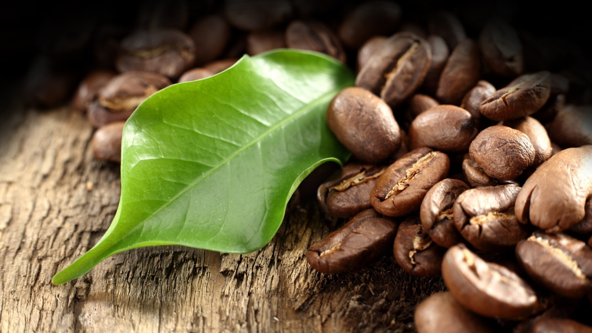 kaffee essen bohnen schließen parfüm blatt samen gesund gesundheit