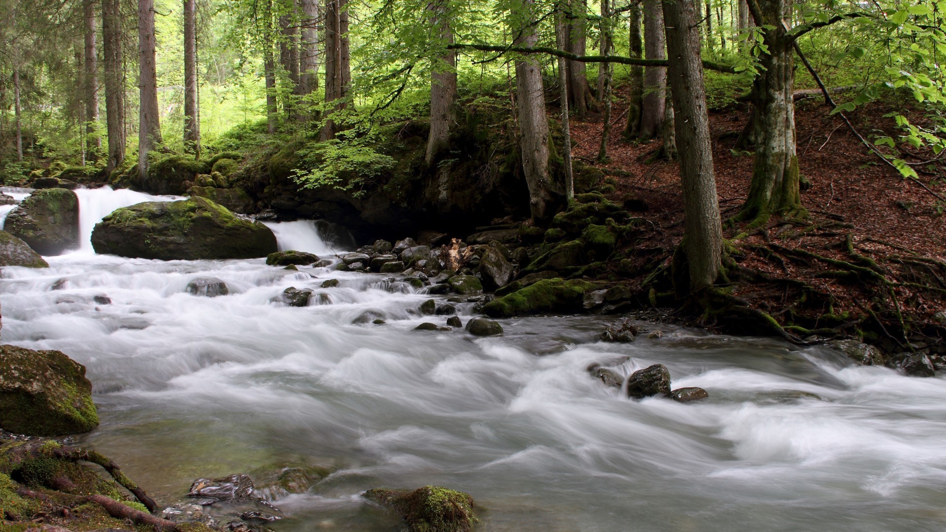 rzeki stawy i strumienie stawy i strumienie drewno woda strumień wodospad rzeka natura mech krajobraz creek jesień liść na zewnątrz skała drzewo dziki czystość - rapids góry kaskada