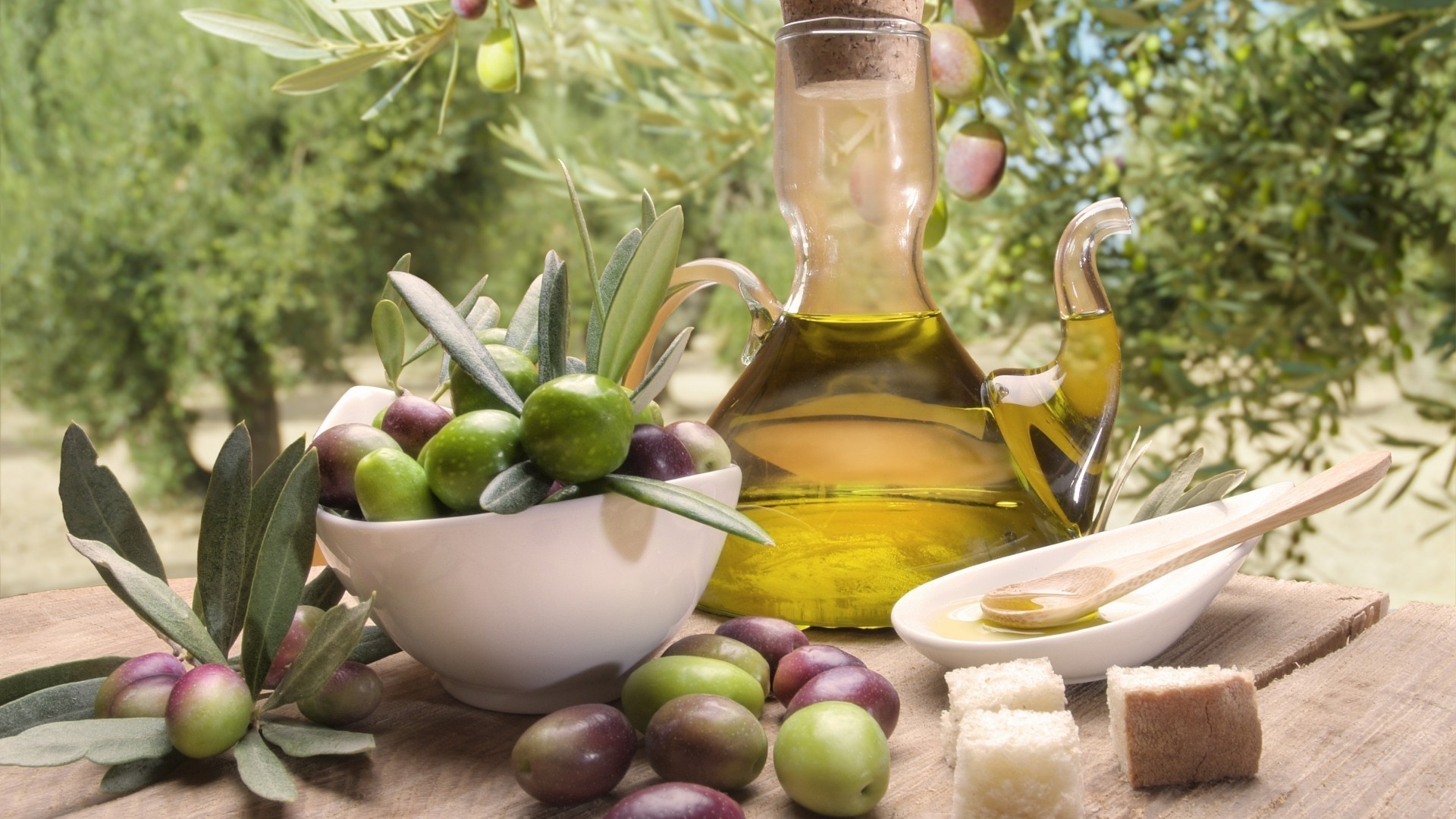 еда оливки масло скачать