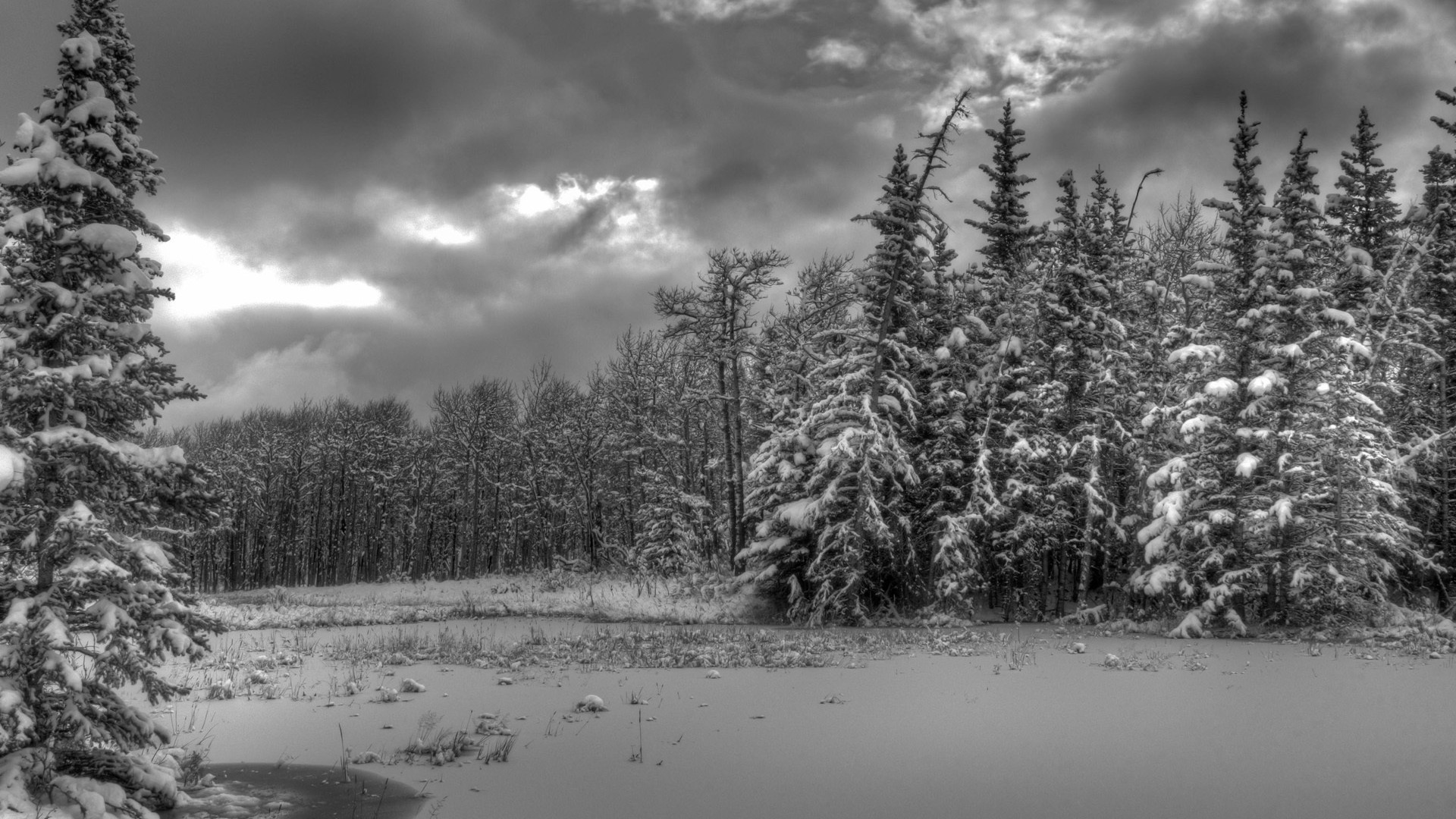 zima krajobraz jezioro drzewo śnieg drewno woda rzeka odbicie natura mgła malowniczy park