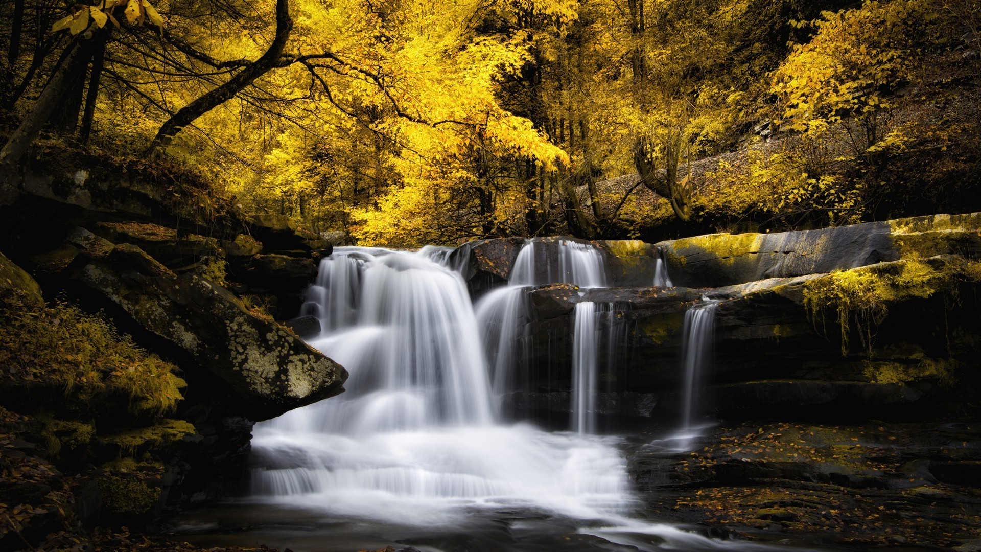 cachoeiras outono cachoeira água rio madeira folha natureza paisagem córrego ao ar livre grito árvore parque fotografia viagens - rapids cascata rocha musgo