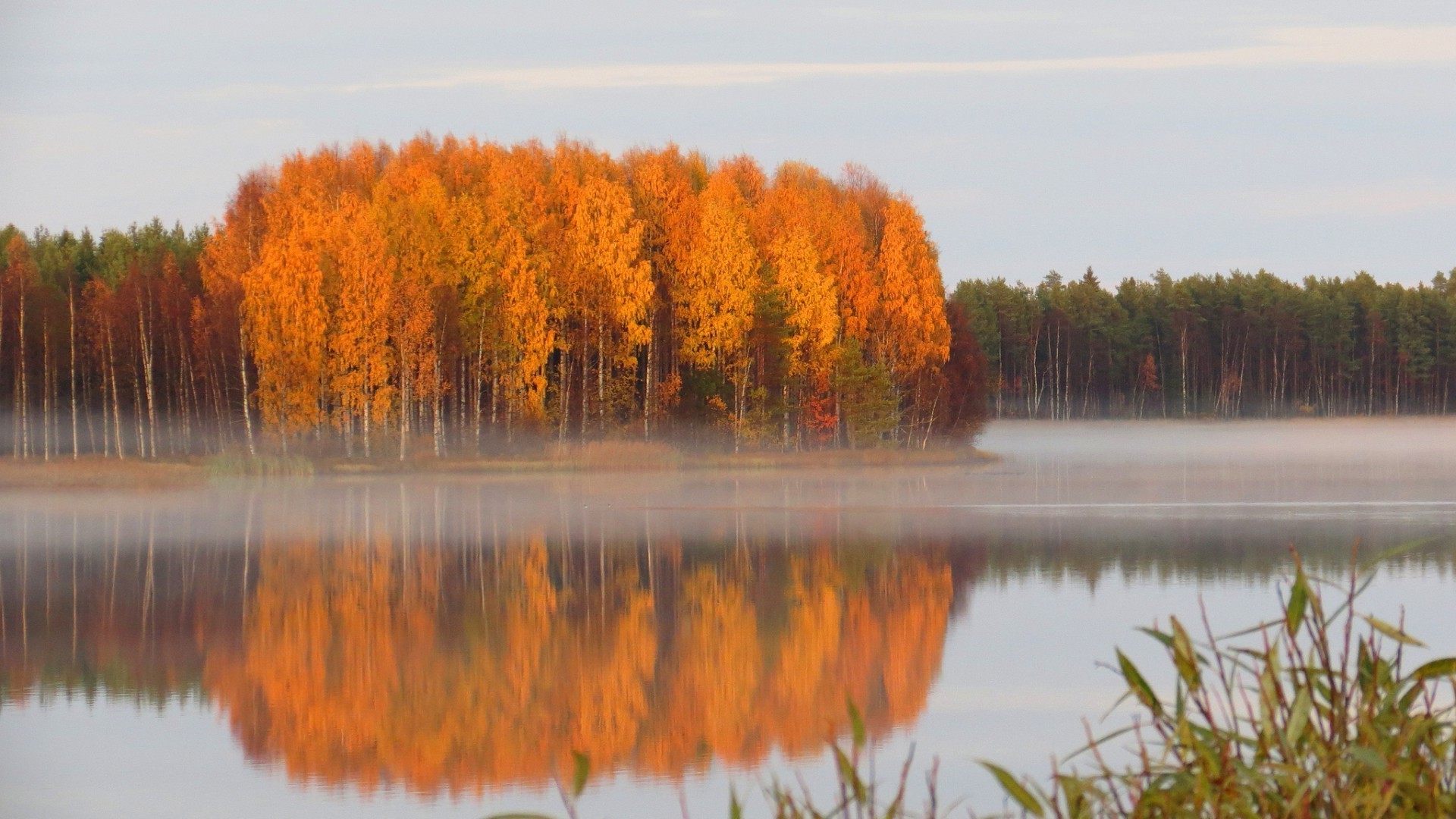 otoño otoño lago árbol amanecer naturaleza agua madera al aire libre reflexión paisaje hoja río sangre fría escénico placid