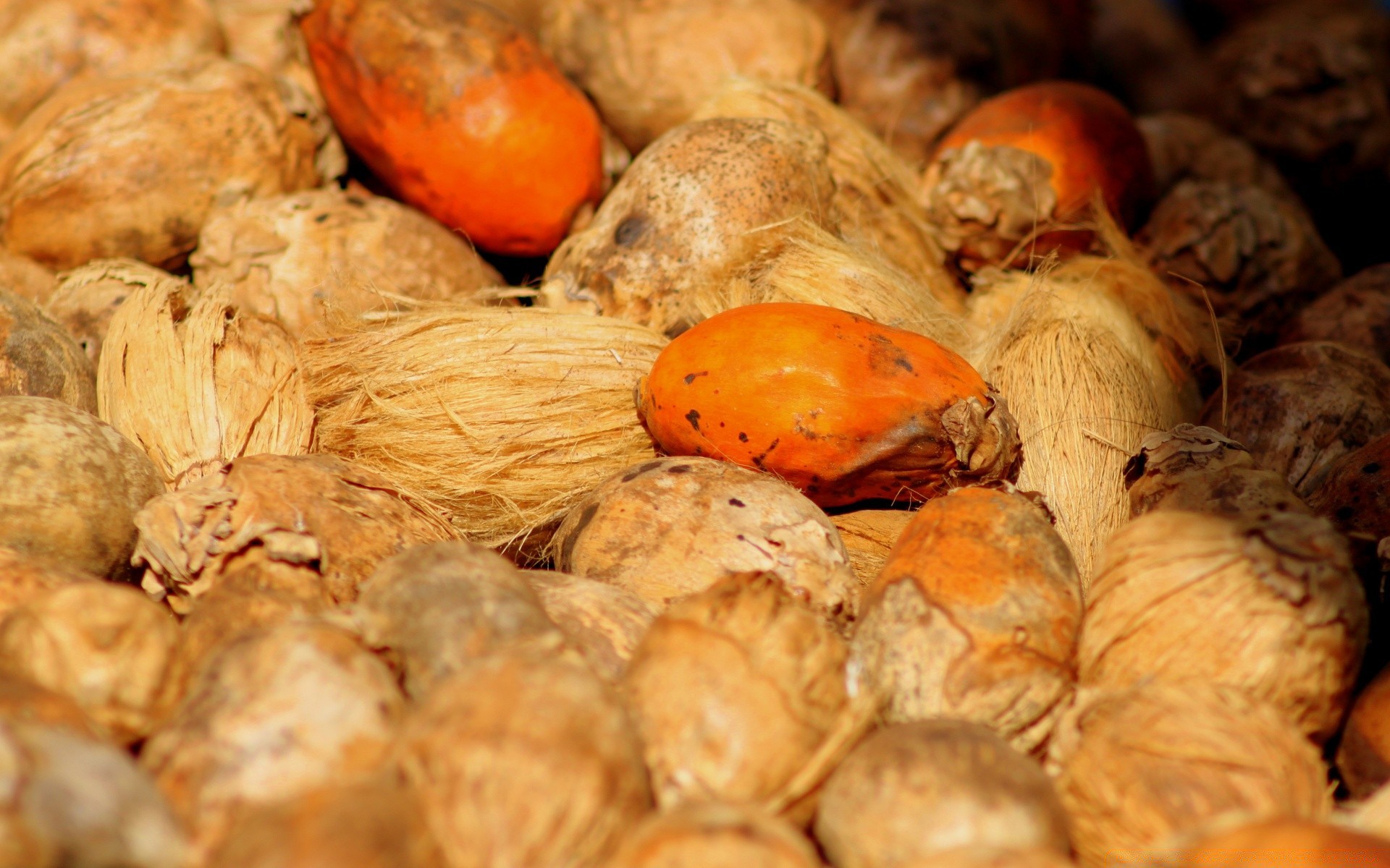 makro jedzenie odżywianie zdrowie owoce suche pyszne natura zdrowe orzechy gotowanie dieta drewno