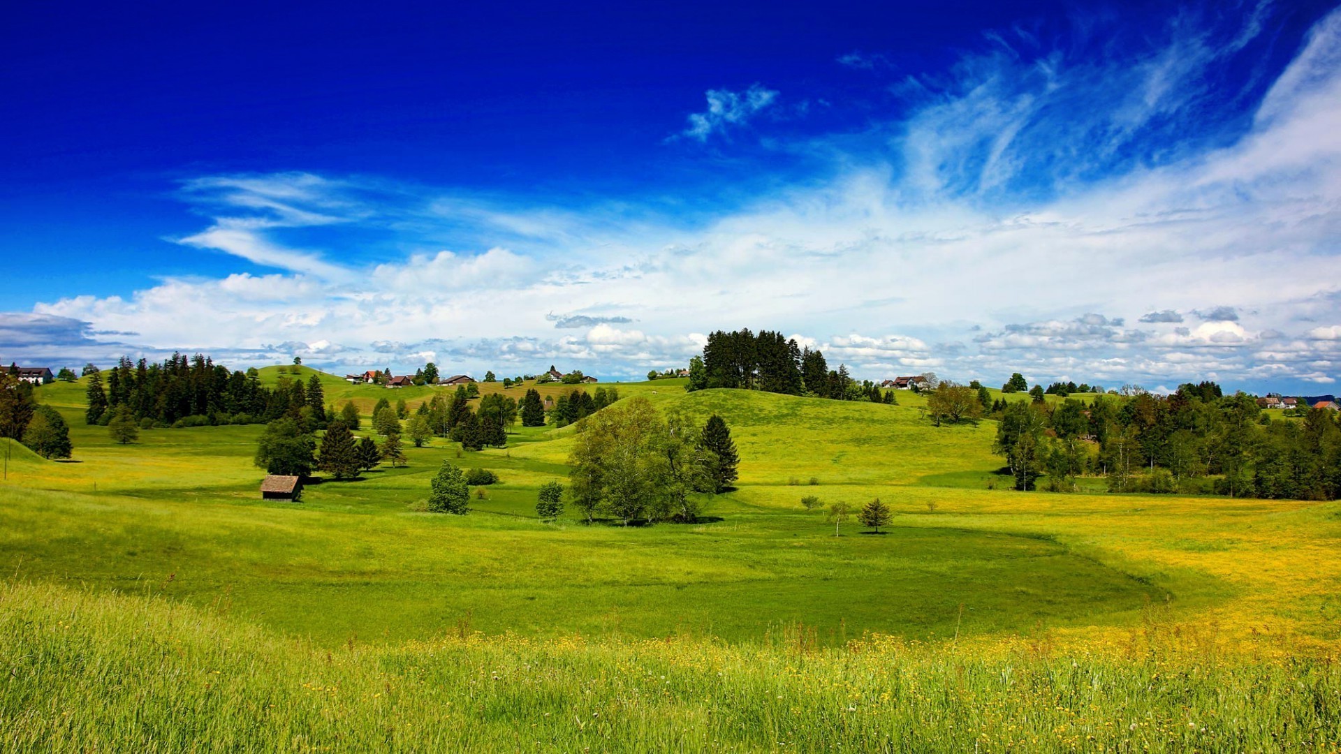 fields meadows and valleys landscape nature hayfield field agriculture tree grass countryside rural sky summer pasture outdoors farm country hill grassland scenic idyllic