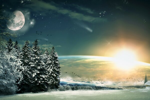 The sun on the horizon of the planet against the background of a winter forest