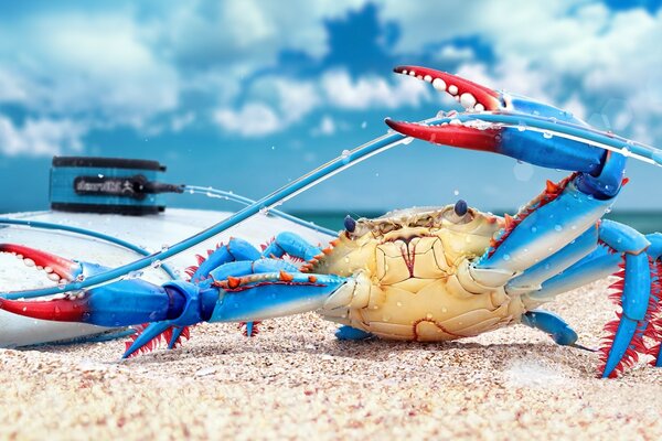 The blue crab calls for a journey to the sea