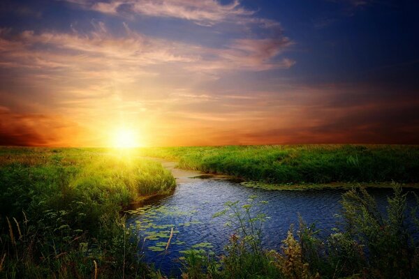 Río en la hierba verde al atardecer