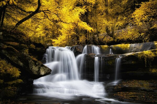 Der Wasserfall mündet vor dem Hintergrund der Herbstbäume in den Fluss