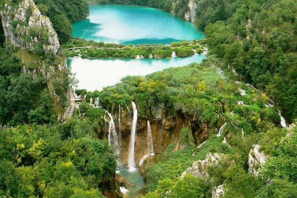 Bild eines Wasserfalls in freier Wildbahn