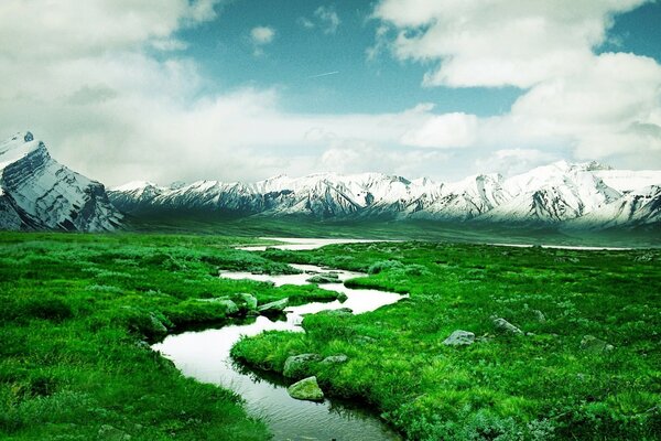 Landscape of ponds and streams nature