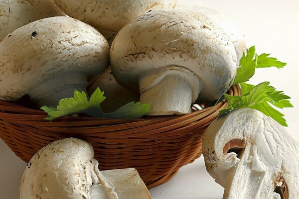 Champignons dans un panier sur un fond blanc