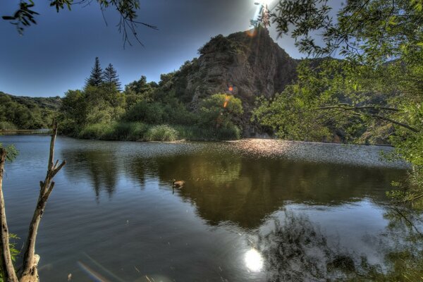 The mountain is flowed by the river and there are trees and bushes around