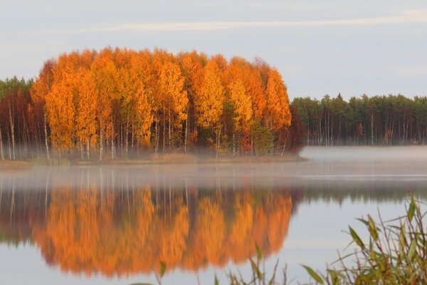 Herbstdämmerung mit Bäumen am See