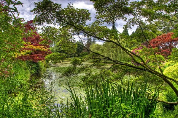 Landscape, I would like to go fishing now