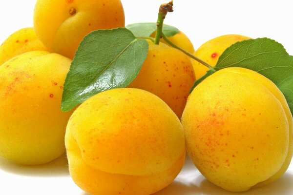 Eight juicy yellow peaches