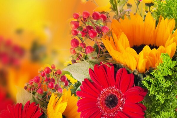 Bouquet of multicolored wildflowers