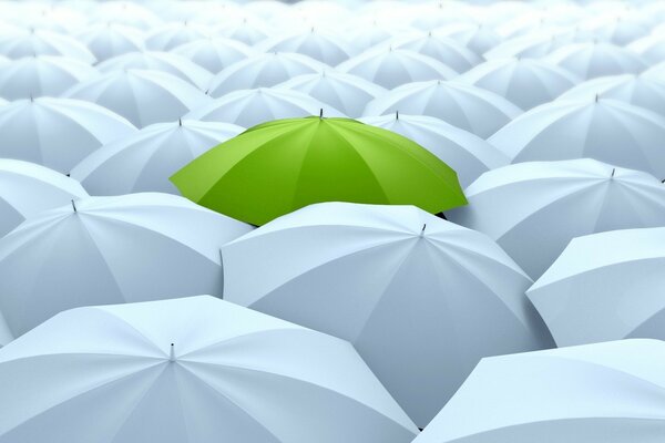 One bright green umbrella on a white background