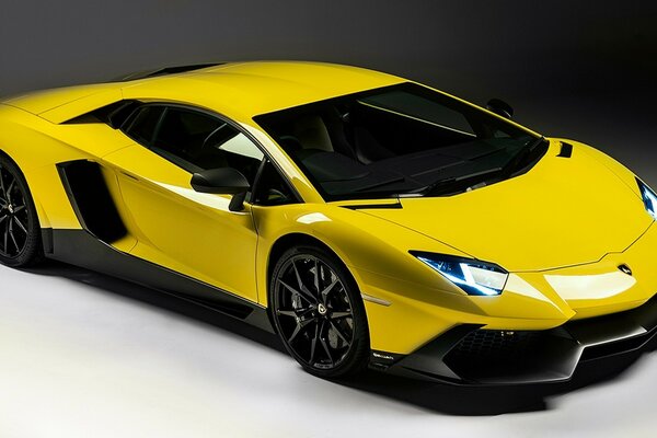 Yellow Lamborghini polished to a shine