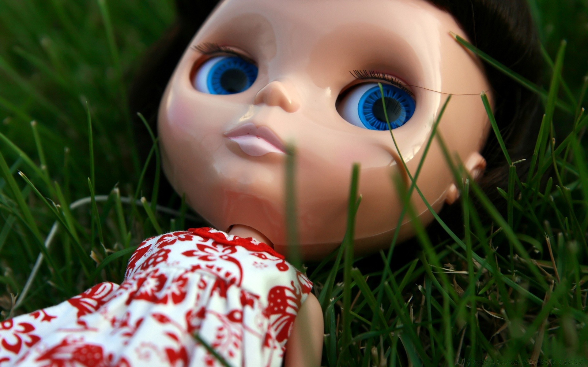 macro child grass little cute nature fun baby summer innocence joy girl eye