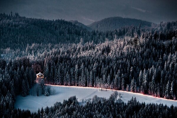 Winter forest in the mountains