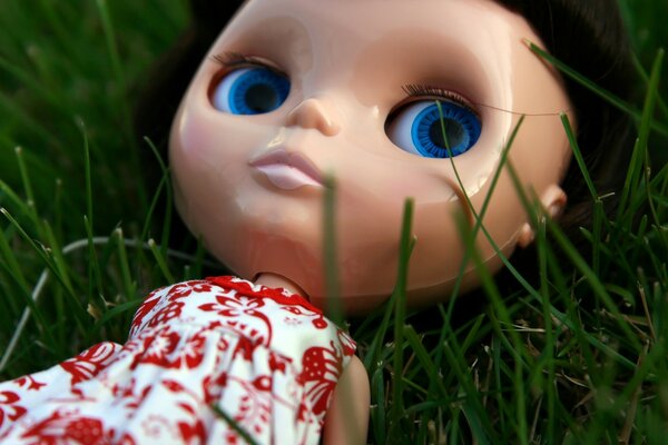 A doll in a red dress is lying in the grass