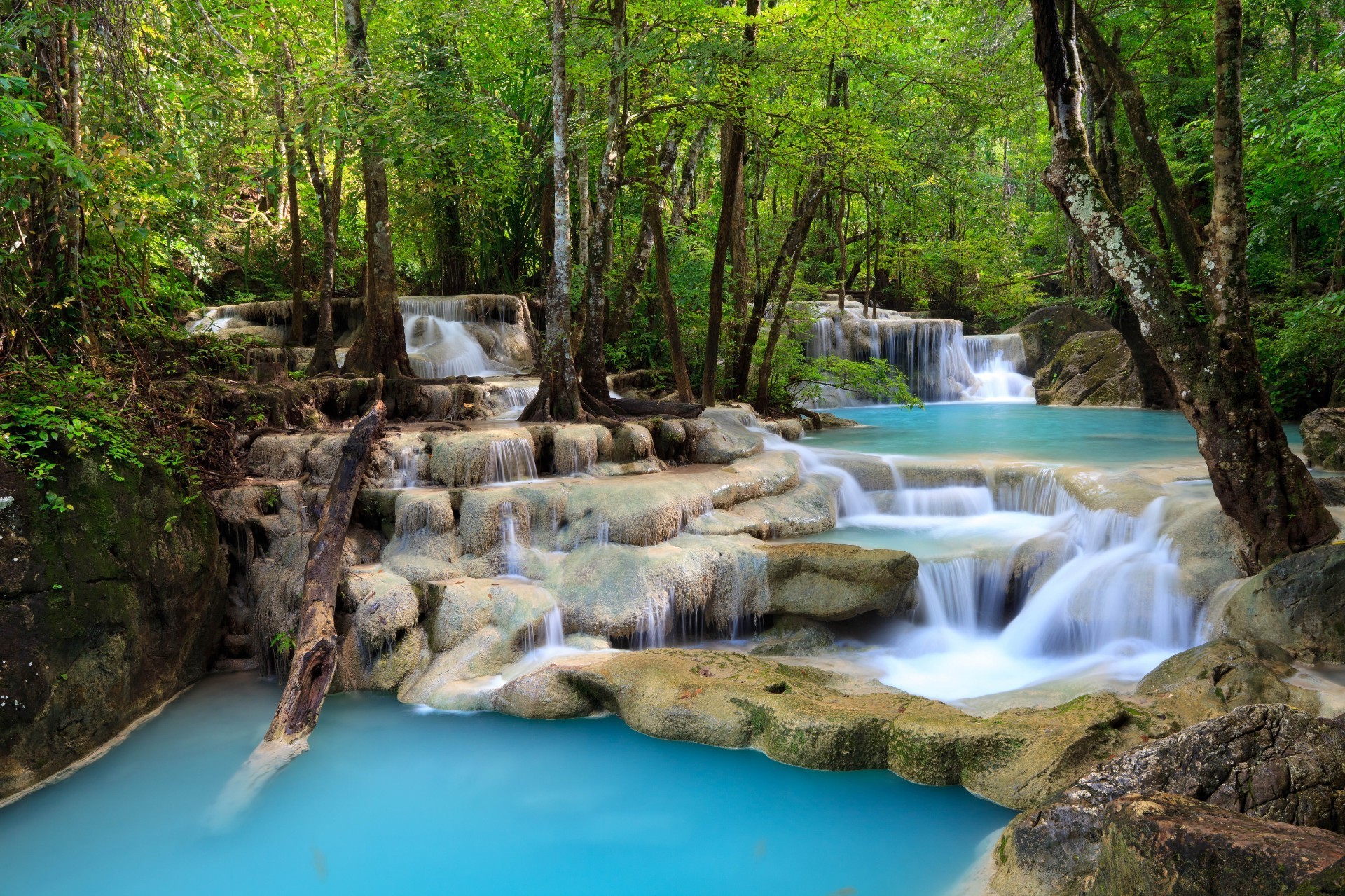 waterfalls water wood waterfall nature stream river creek leaf travel rock cascade wild landscape outdoors tree flow environment summer wet