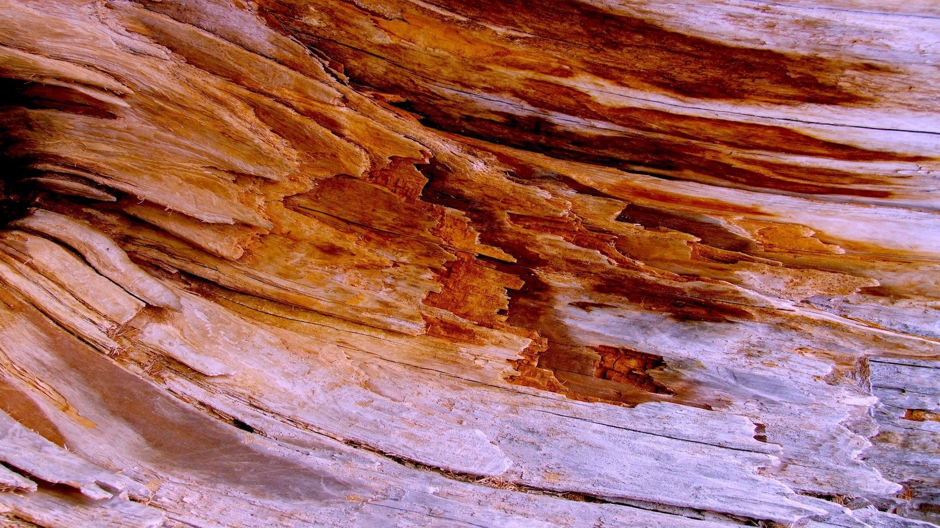 macro textura geología escritorio patrón áspero sucio naturaleza duro abstracto al aire libre tela