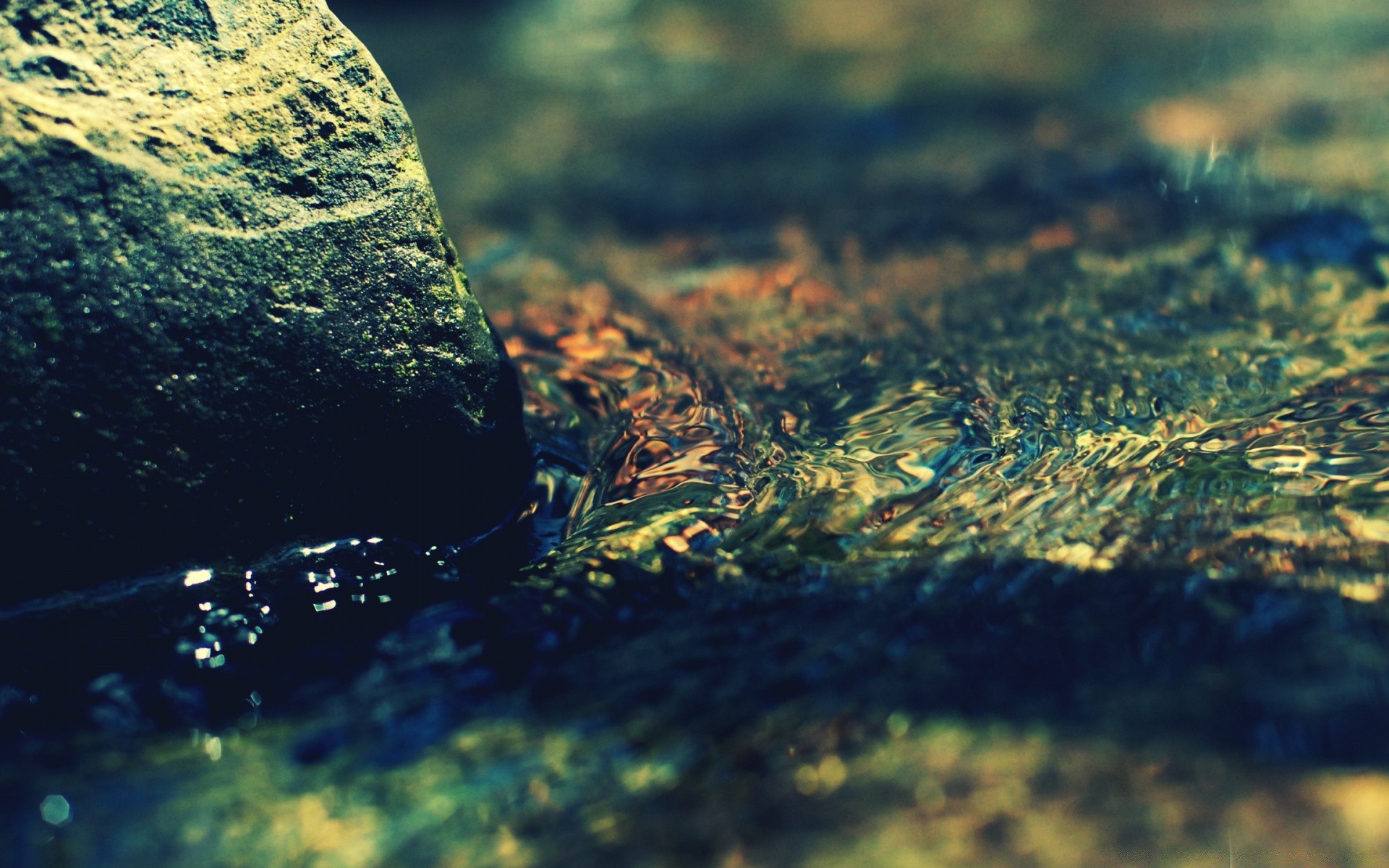 macro naturaleza agua al aire libre gazoo medio ambiente paisaje escritorio río viajes roca luz del día musgo árbol mar