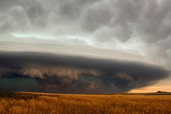 The impending storm over the field scares