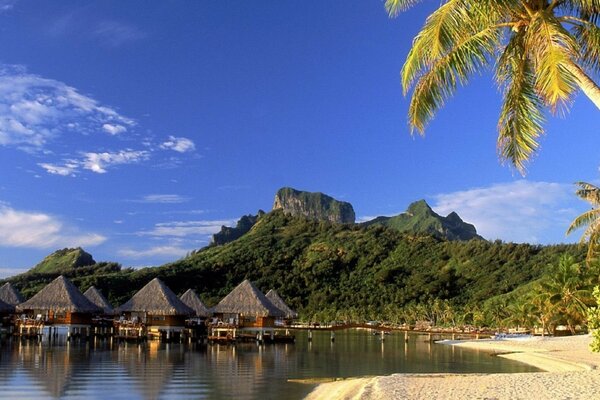 Palmeras y cabañas en la costa de una isla tropical