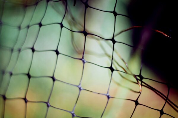 Fotografia macro della griglia di calcio. Maglia di ferro