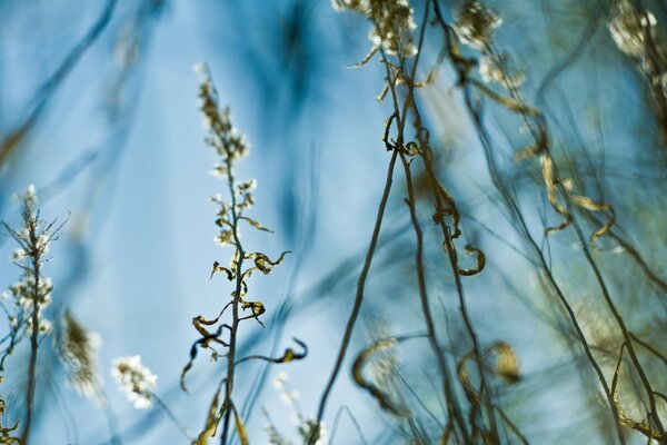 Shooting grass outdoors