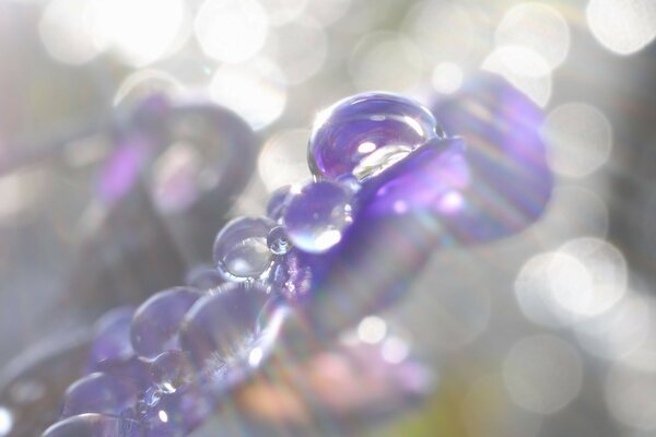 Macro photography of dew on the desktop