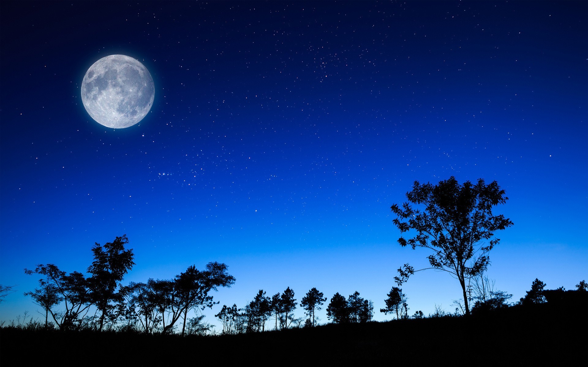 pôr do sol e amanhecer lua céu astronomia espaço sol natureza escuro noite meia-noite crepúsculo lua cheia árvore luz silhueta paisagem amanhecer galáxia ao ar livre pôr do sol